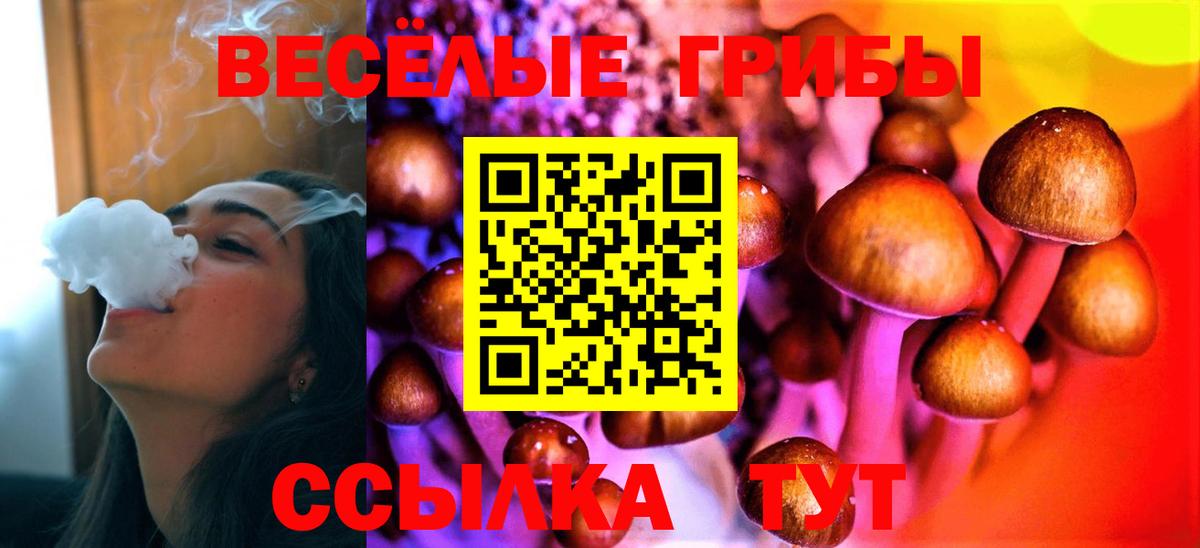 Ялта  наркота  Псилоцибиновые грибы GOLDEN TEACHER  Вход с VPN  Псилоцибиновые грибы мицелий 
